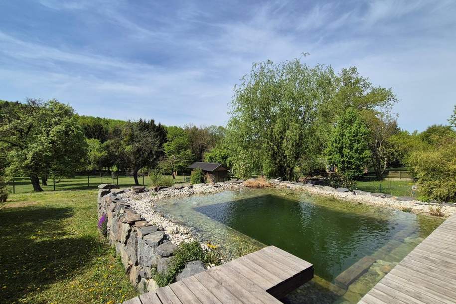 NÄHE PRESSBAUM GROSSZÜGIGES EINFAMILIENHAUS MIT SCHWIMMTEICH DIREKT AN DER GRÜNLANDGRENZE, Haus-kauf, 750.000,€, 3021 Sankt Pölten(Land)