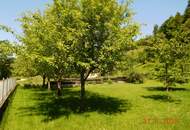 Mehrparteienhaus (zur Eigennutzung, als Anlageobjekt und/oder gewerblich) Provisionsfrei!