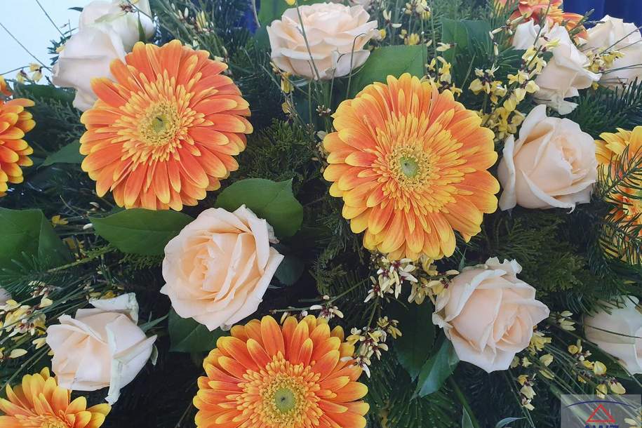 Dachgeschoss-Wohnung in bester Lage! Traumhafter Ausblick!, Wohnung-kauf, 9500 Villach(Stadt)