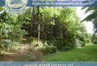 Weinkeller mit riesen Waldgrundstück Nähe A5!