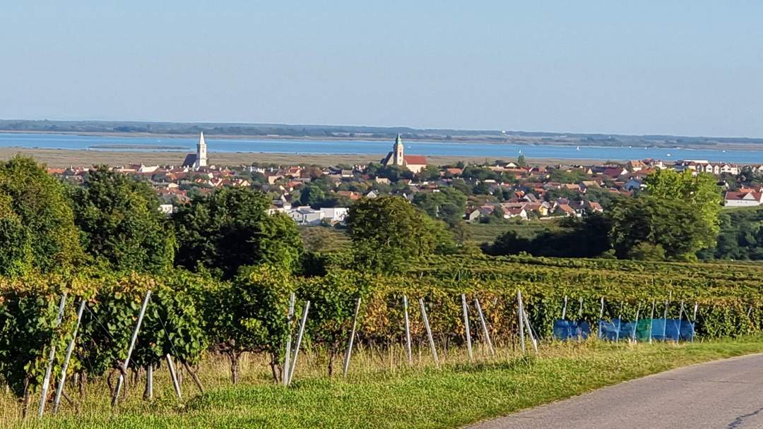 Großzügige Familienwohnung in der Storchenstadt Rust am See