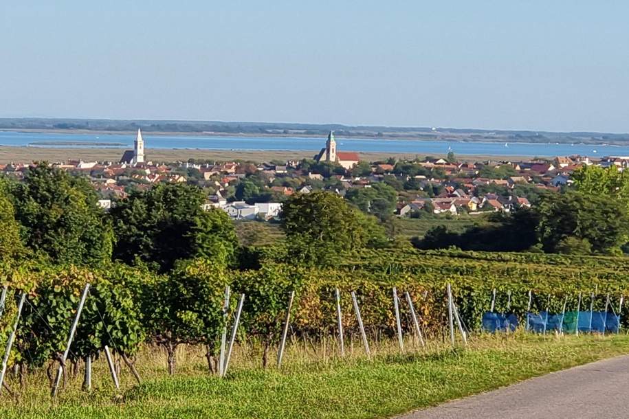 Großzügige Familienwohnung in der Storchenstadt Rust am See, Wohnung-kauf, 295.000,€, 7071 Rust(Stadt)