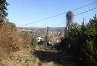 "Rarität in Mauerbach"