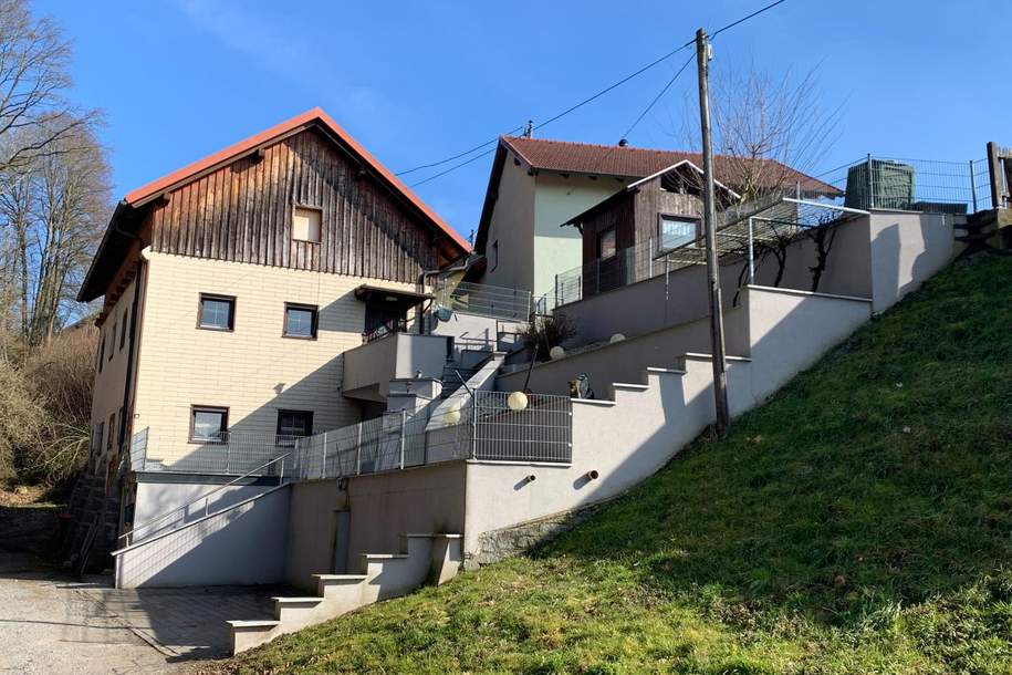 ***OPEN HOUSE Freitag, 28. März 2025 von 13 - 17 Uhr*** Sanierungsbedürftiges Haus im Ortskern von Andorf, Haus-kauf, 95.000,€, 4770 Schärding