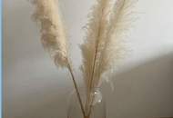 RENNWEG / Nähe HTL - Neubauwohnung mit Loggia - 2.OG // ABLÖSE möglich!!