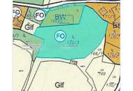 Rarität für Naturliebhaber