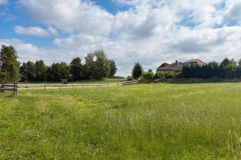 Großzügige Baugrundstücke in Ortsrandlage ohne Bauverpflichtung, Grund und Boden-kauf, 142.000,€, 4973 Ried im Innkreis