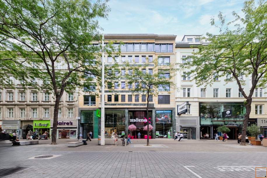 OFFICE MARIAHILFERSTRASSE: topausgestattet, klimatisiert &amp; barrierefrei, Gewerbeobjekt-miete, 6.650,00,€, 1070 Wien 7., Neubau