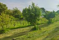 2 ERSCHLOSSSENE BAUGRÜNDE MIT OBSTBAUM-BESTAND UND WEINREBEN IM VULKANLAND DER SÜDOSTSTEIERMARK