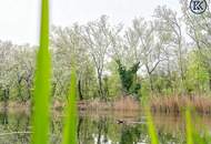 '" Nähe Müllwasser und der Lobau."