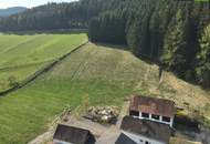 SANIERUNG 2025: Geräumiges Einfamilienhaus mit angeschlossener Kleinlandwirtschaft (Neben- und Stallgebäude) mit ca. 2.700 m² Grund