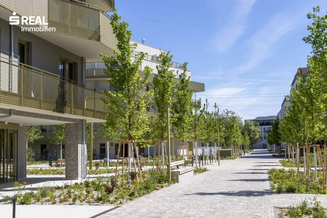 Hirschfeld - Ihr neues Zuhause im Grünen - anfragen, besichtigen, einziehen - 41 bis 96 m²