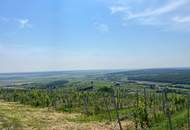 WEINIDYLLE SÜDBURGENLAND - Weinkeller im schönen, sonnigen Eisenberg