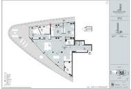 Großzügige 4 Zimmer Wohnung mit über 100 m² Balkon und Blick auf die Donau!