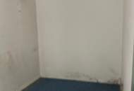 Südseitige 2 Zimmer Wohnung mit Sanierungsbedarf in absoluter Ruhelage mit Hofausrichtung