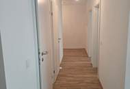 Südstadtzentrum! Verfügbare Mieteinheiten in der grünen Südstadt, Maria Enzersdorf! BT 4