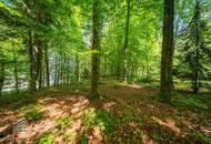 Exklusives Badeparadies am Wörthersee: Ihr privates Refugium mit Seezugang und Waldidylle