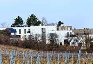 Exklusive Doppelhaushälfte in attraktiver Lage - Modern, elegant, stilvoll - Hochwertige Ausstattung