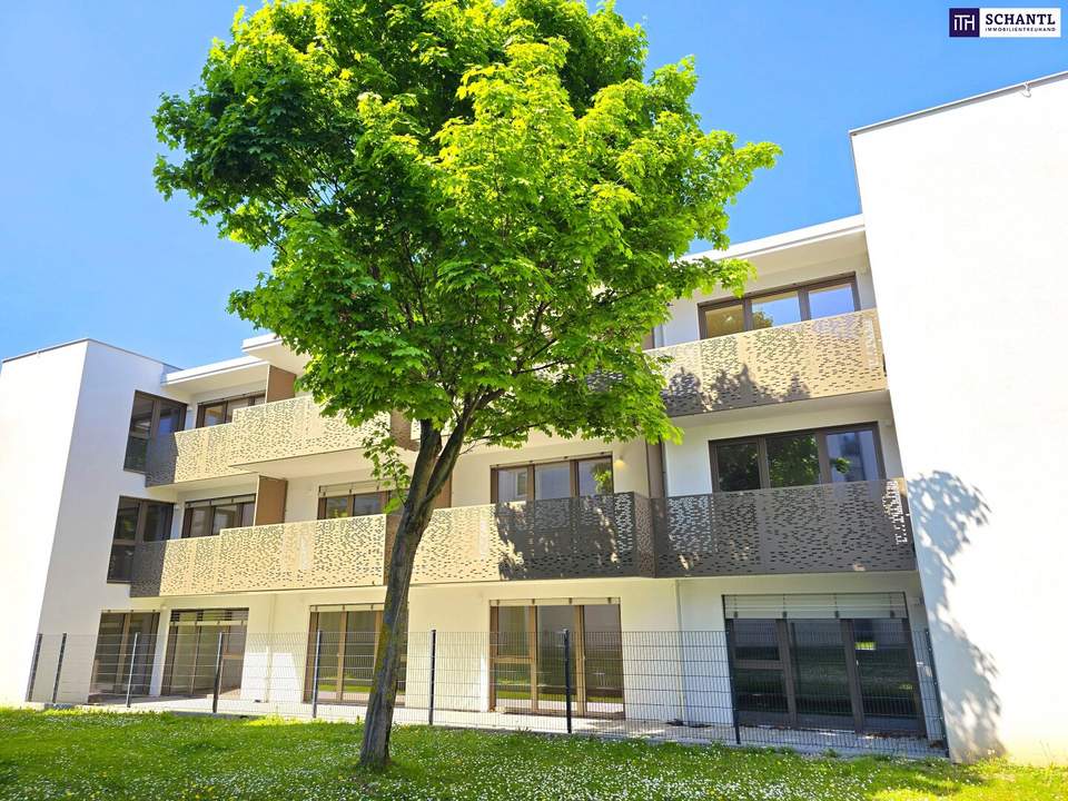 Viel Terrasse, viel Sonne, viel Freude! Perfektes Investment! Erstbezug - TOP Neubauwohnung mit hofseitiger Gartenterrasse! Blick ins Grüne + Komplette Ruhelage + Energieeffizienz + Perfekte Anbindung und Nahversorgung! Jetzt zugfreifen!