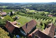 Ein eigenes Reich hoch über den Weinbergen in Plateaulage - alte weststeirische Baukultur trifft neue Ausbaumöglichkeiten