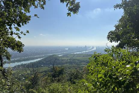 Ca. 3000 m² weitläufiges und stilvoll gestaltetes Gartenareal mit Terrassen, Pavillon und exklusiven Rückzugsbereichen – ideale Kulisse für Events, Kundentermine oder Outdoor-Inszenierungen., Haus-miete, 6.790,00,€, 1190 Wien 19., Döbling