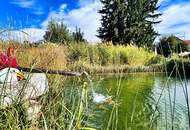 TOP PREIS!! TOP GARTENPARADIES mit HOLZ - HAUS - WAIDENDORF/DÜRNKRUT