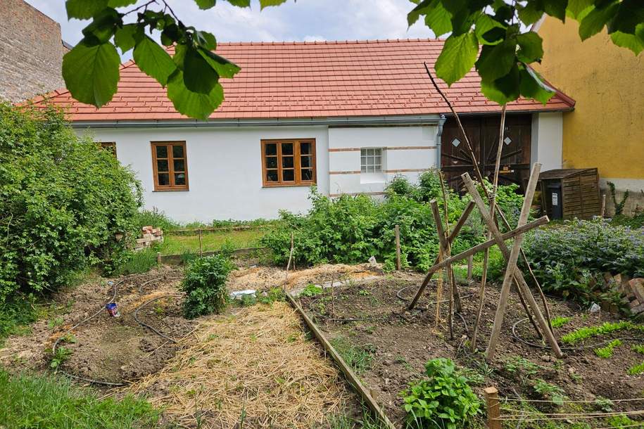 Herzallerliebstes Kleinod - ehemaliger Bauernhof im Weinviertel, Haus-kauf, 349.000,€, 2154 Mistelbach