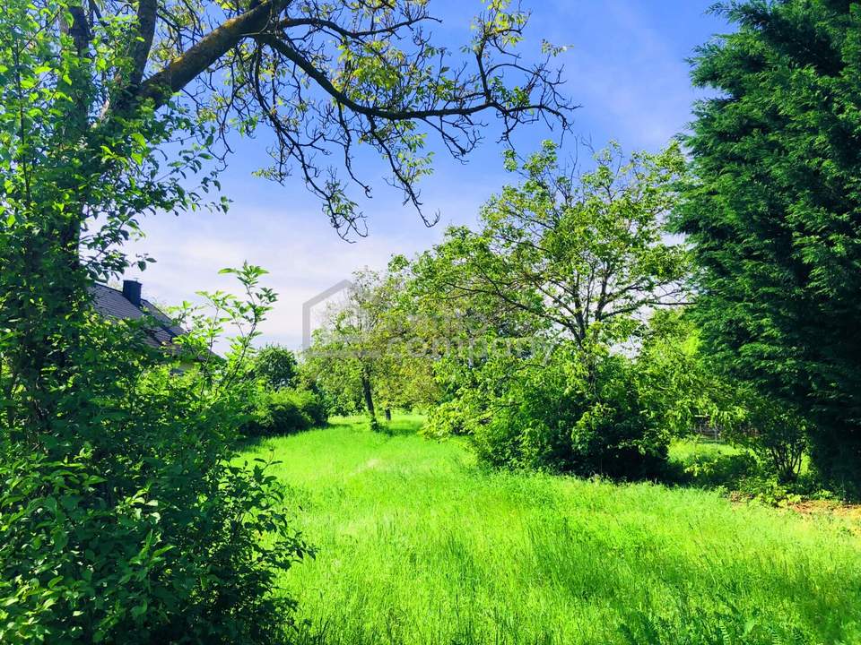 Baugrund 4 in Höhenlage am Naturschutzgebiet