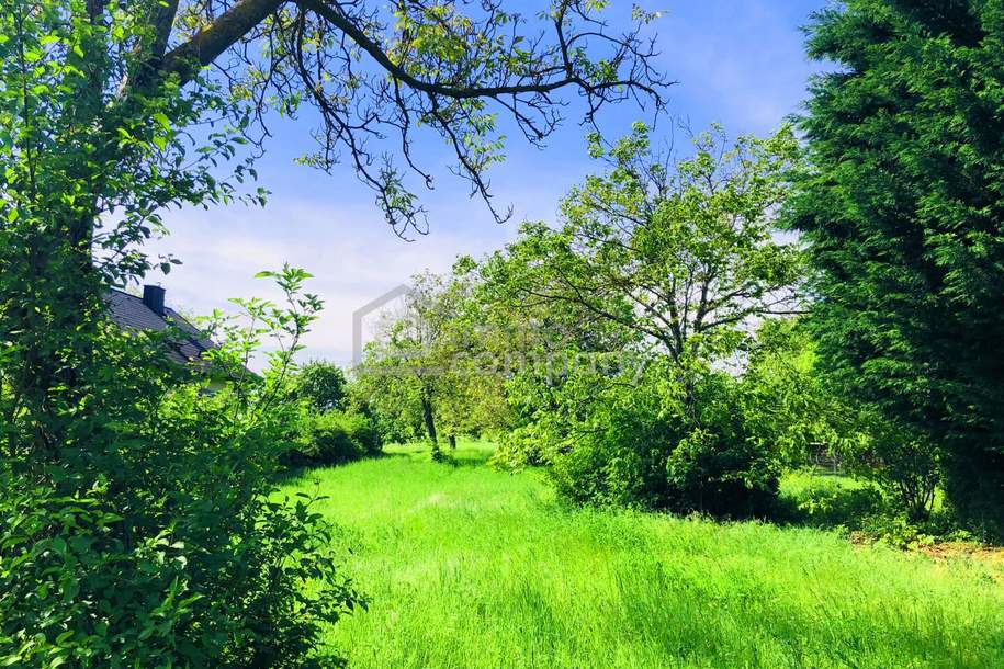 Baugrund 4 in Höhenlage am Naturschutzgebiet , Grund und Boden-kauf, 199.000,€, 7091 Eisenstadt-Umgebung