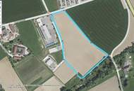an der Osttangente nahe Autobahnauffahrt Sattledt bis zu 40.000 m2 - TEILFLÄCHEN MÖGLICH