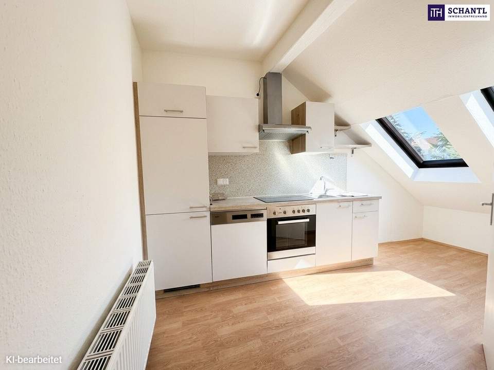 Urbanes Wohnen in Bestlage: Charmante Dachgeschosswohnung zwischen Hauptbahnhof und Citypark. Ideal für Eigennutzer und Anleger!