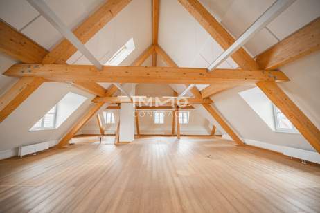 Außergewöhnliche Ordinationsfläche in revitalisiertem Schloss nahe Wien, Gewerbeobjekt-kauf, 858.000,€, 2320 Bruck an der Leitha