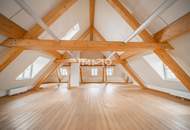 Außergewöhnliche Ordinationsfläche in revitalisiertem Schloss nahe Wien