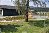 Bad Mitterndorf: Haus aus Verlassenschaft mit 2.500m² Grundstück, 200m² Garage und 400m² Biotop.