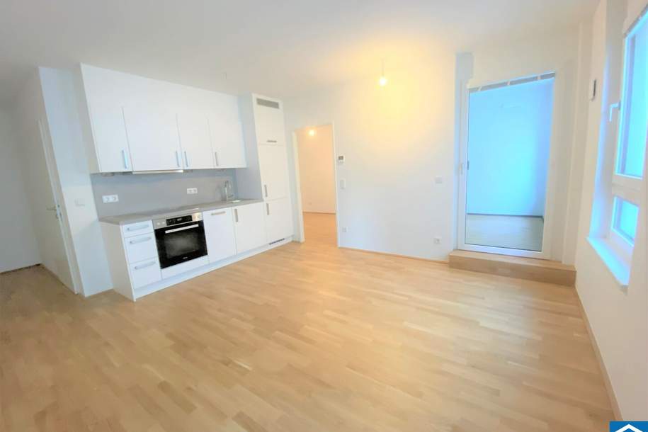 Mieteinnahmen ab Tag 1, Wohnung-kauf, 280.000,€, 1160 Wien 16., Ottakring
