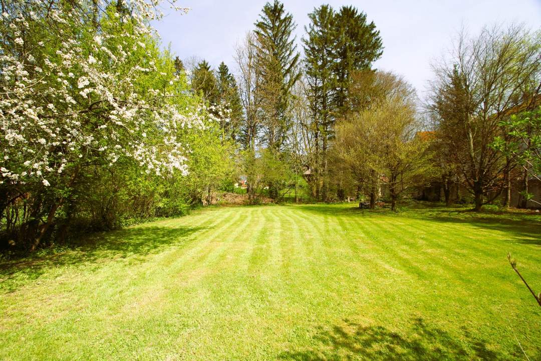 "NEUER PREIS!" Ca. 1000m² BAUGRUND IM VIELFÄLTIG SCHÖNEN WIENERWALD-ORT GAADEN BEI MÖDLING