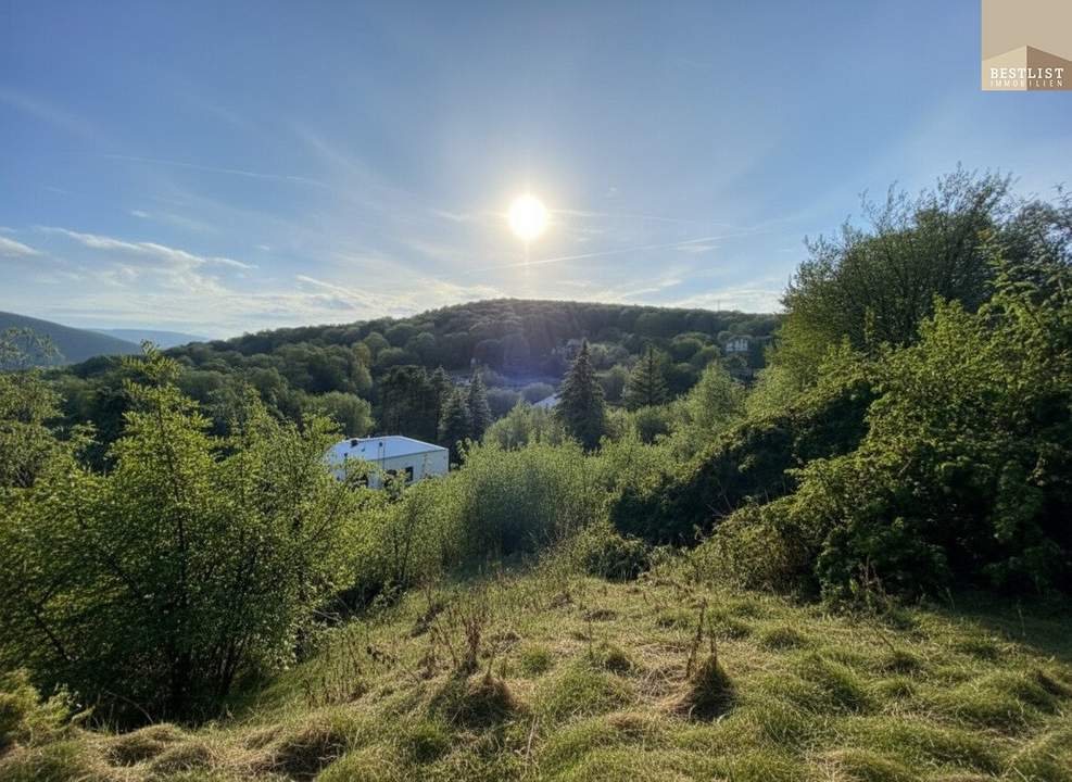 Exklusives Grundstück in unvergleichlicher Grünruhelage