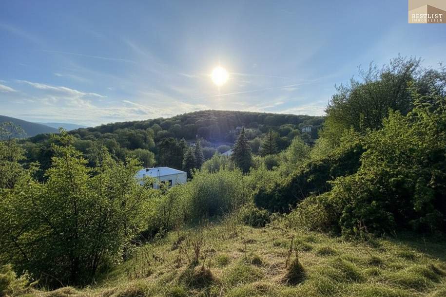 Exklusives Grundstück in unvergleichlicher Grünruhelage, Grund und Boden-kauf, 999.000,€, 2372 Mödling