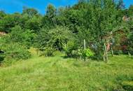 AN DER SONNENSEITE AM WALDRAND!