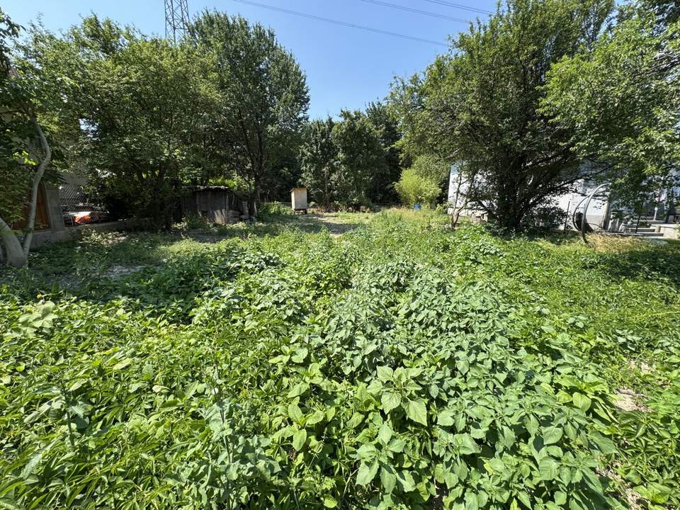 Schwarzlackenau | Eigentums-Baugrund | 576m² | unbebaut