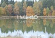 Großes Grundstück mit Fischteich und Badeteich, Erholungsanlage, Freizeitparadies mit viel Potenzial