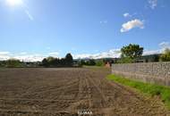 Baugrund am Stadtrand von Pöchlarn - keine Bauverpflichtung