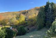 Ein Ort mit Perspektive – Sonniges Grundstück mit entkerntem Bestandsgebäude in Breitenfurt | ZELLMANN IMMOBILIEN