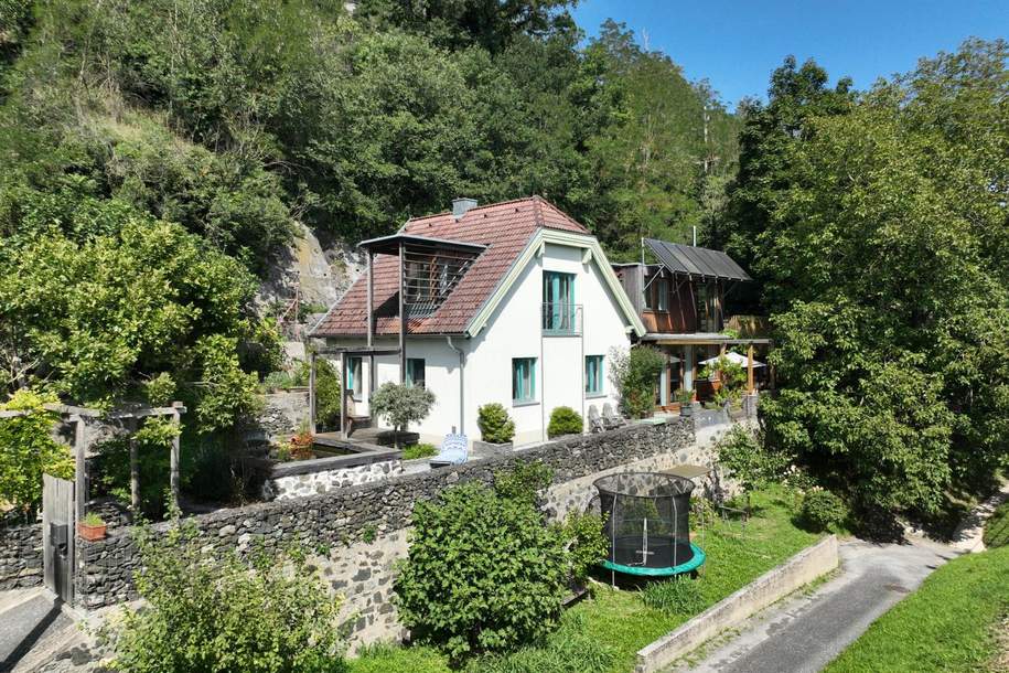 Extravagantes Wohnen in herrlicher Lage am linken Donauufer in Urfahr, Haus-kauf, 3652 Melk