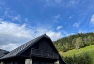 Ein Platz für Visionen – Naturverbundene Liegenschaft mit Ausbau- und Neubauoptionen