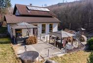 Haus, POOL und Wienerwaldblick Ihre GELEGENHEIT