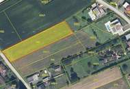 Sonniges Baugrundstück in Top-Südwestlage – St. Georgen an der Stiefing