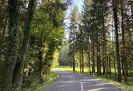 Baugrund in idyllischer Ruhe- und Grünlage Nähe Laßnitzhöhe!