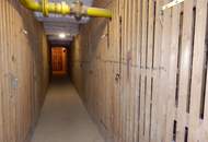 Überraschend großzügig: 62 m² Garconniere mit separater Küche - GLEICH BEI U3 KARDINAL-NAGL-PLATZ