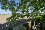 NOTVERKAUF - Sanieren oder doch Projektieren - beim Schloss Vösendorf